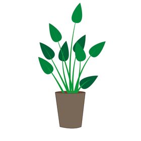 植物绿色插画树苗可编辑