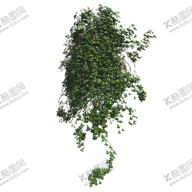 编号：96828806271525077432【酷图网】源文件下载-绿色植物