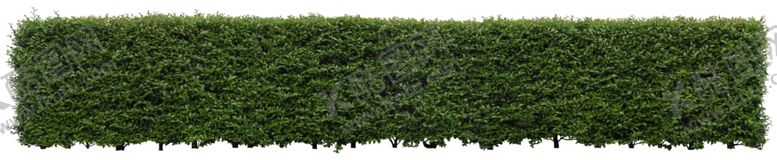 编号：17905610081750279020【酷图网】源文件下载-篱笆草皮