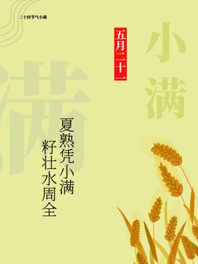 小满麦子地产节气宣传节日