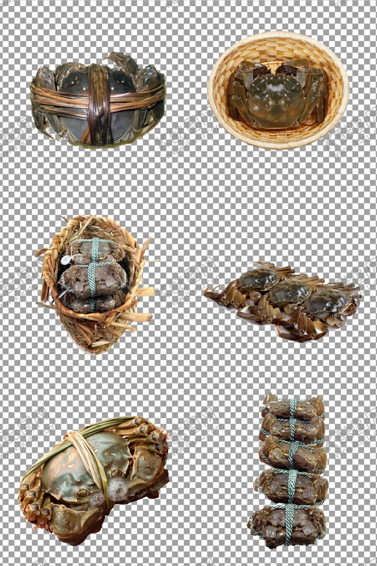 编号：87459509200619415591【酷图网】源文件下载-大闸蟹