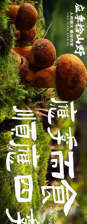 大众点评野生菌五连图设计