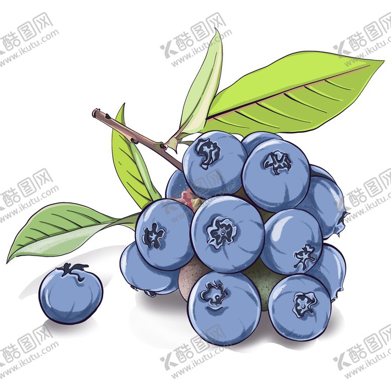 编号：69708309222118566509【酷图网】源文件下载-蓝莓