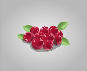 冬青叶和浆果插图
