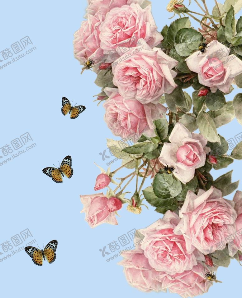 编号：55441210101420232160【酷图网】源文件下载-玫瑰花