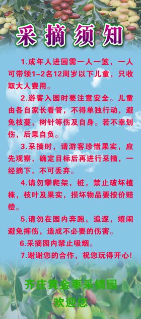 黄金枣采摘展架