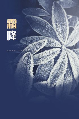 霜降素材节气活动