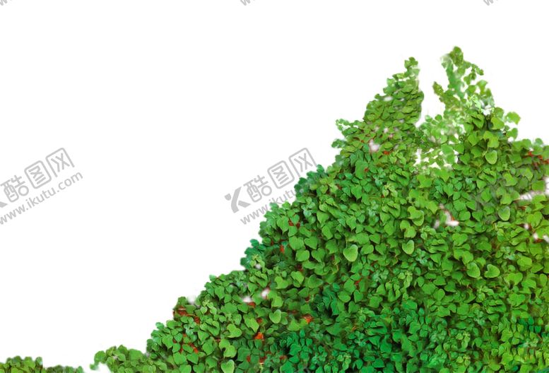 编号：65967507141408052312【酷图网】源文件下载-绿色背景