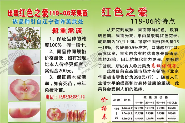 编号：29819506142119302975【酷图网】源文件下载-苹果宣传单水果宣传单图片