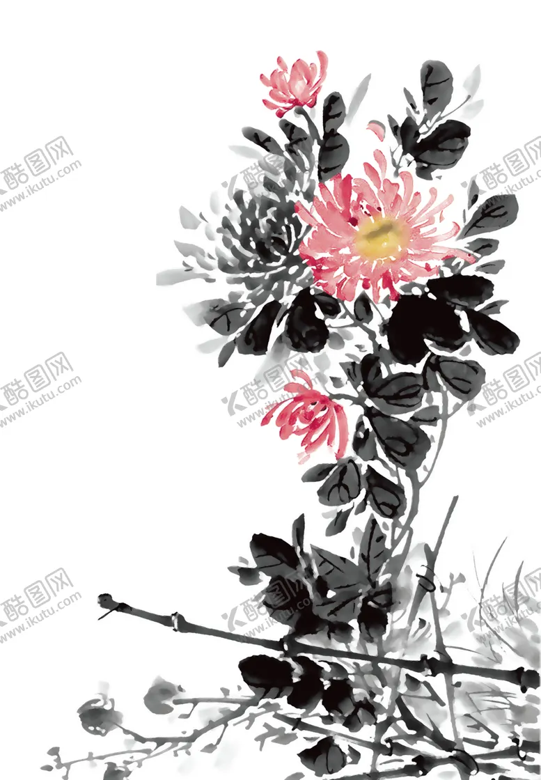 编号：68124301280035097364【酷图网】源文件下载-菊花