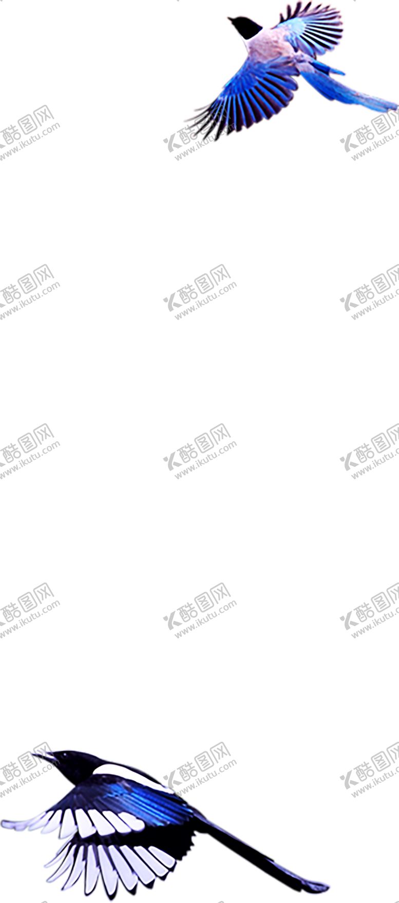 编号：43612706170730162816【酷图网】源文件下载-浪漫素材