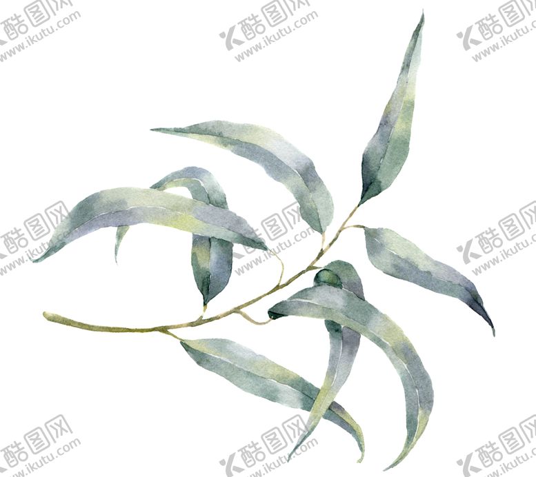编号：40884009152307425064【酷图网】源文件下载-植物花朵装饰图案
