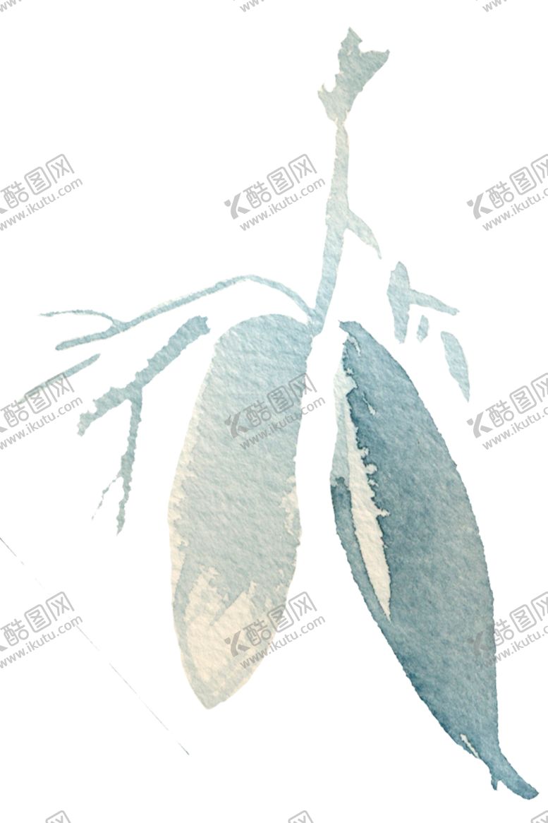 编号：41527309190129488073【酷图网】源文件下载-植物手绘水彩