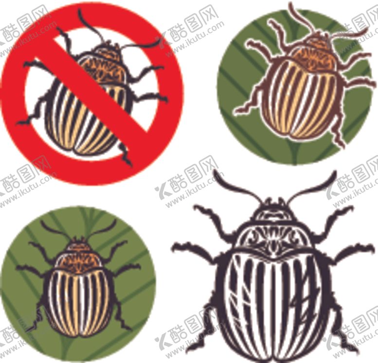 编号：37825609260452566893【酷图网】源文件下载-杀虫