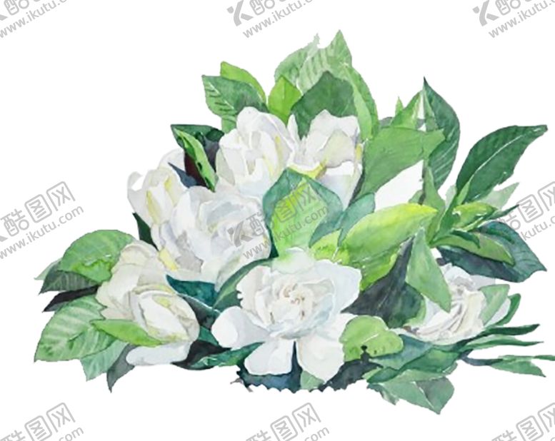 编号：35884710280900424599【酷图网】源文件下载-绿色背景