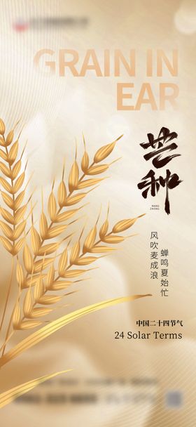 芒种节气海报插画麦穗二十四