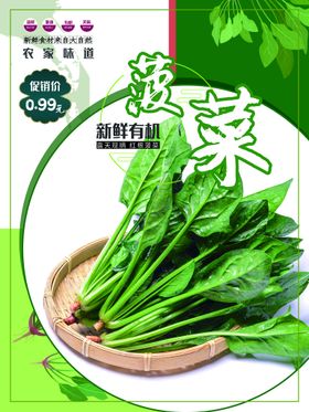 菠菜图案