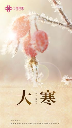 24节气之大寒选擦混海报