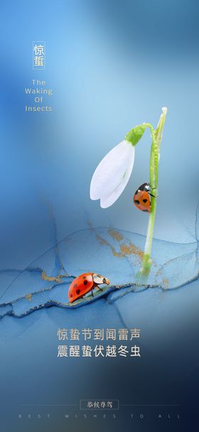 惊蛰节气惊蛰海报惊蛰广告