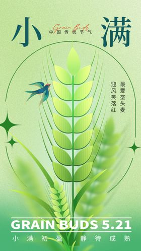 清新麦穗插画节气小满小虫点缀