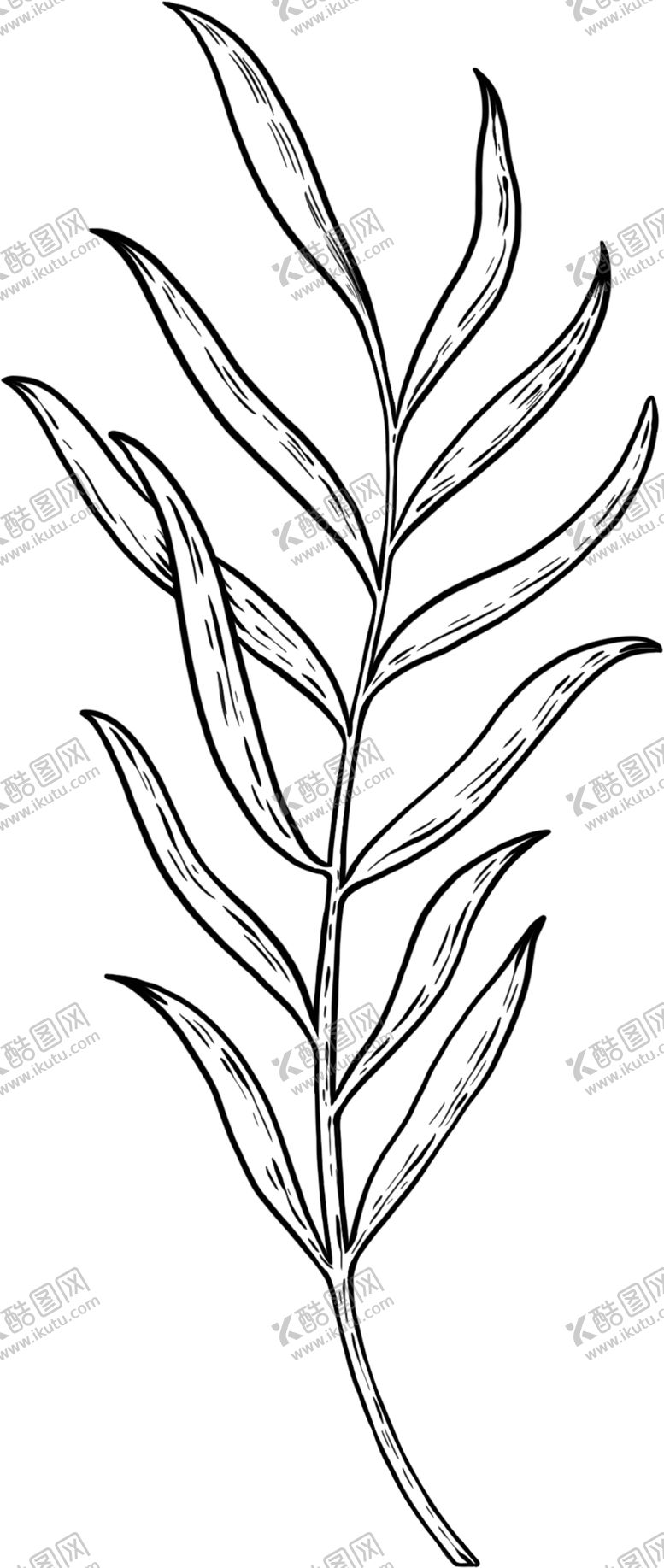 编号：75657209110710361369【酷图网】源文件下载-树枝素描