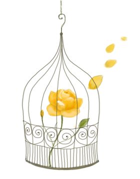 鸟笼子