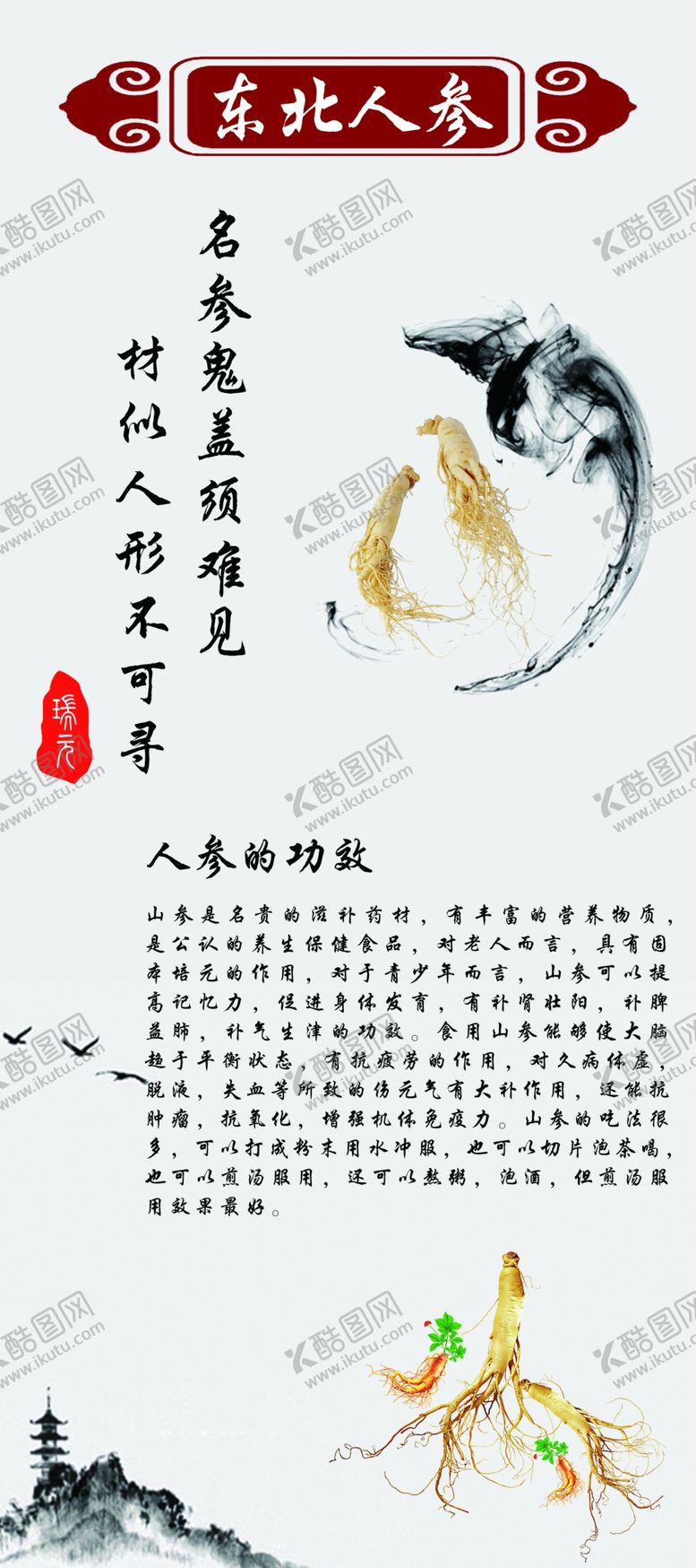 编号：33050909250129185188【酷图网】源文件下载-东北人参