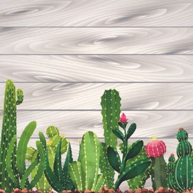 仙人掌植物印花图片