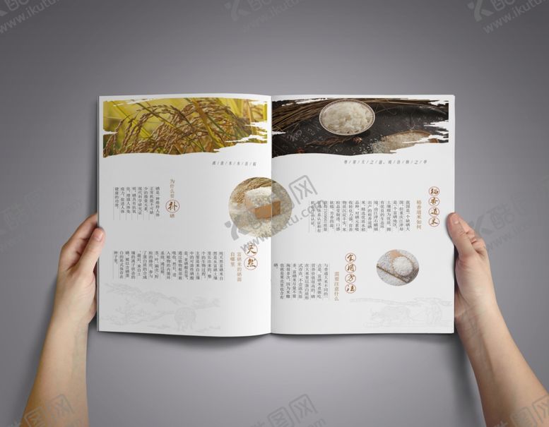 编号：50458907072046447372【酷图网】源文件下载-DM单宣传单效果图