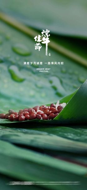 端午节粽子插画手绘海报