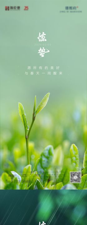 惊蛰海报露珠虫子二十四节气春天