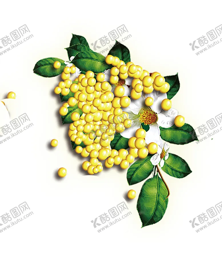 编号：44945306252042286809【酷图网】源文件下载-绿色相框