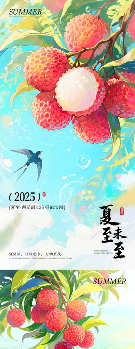夏至（荔枝）