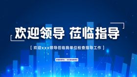 欢迎领导