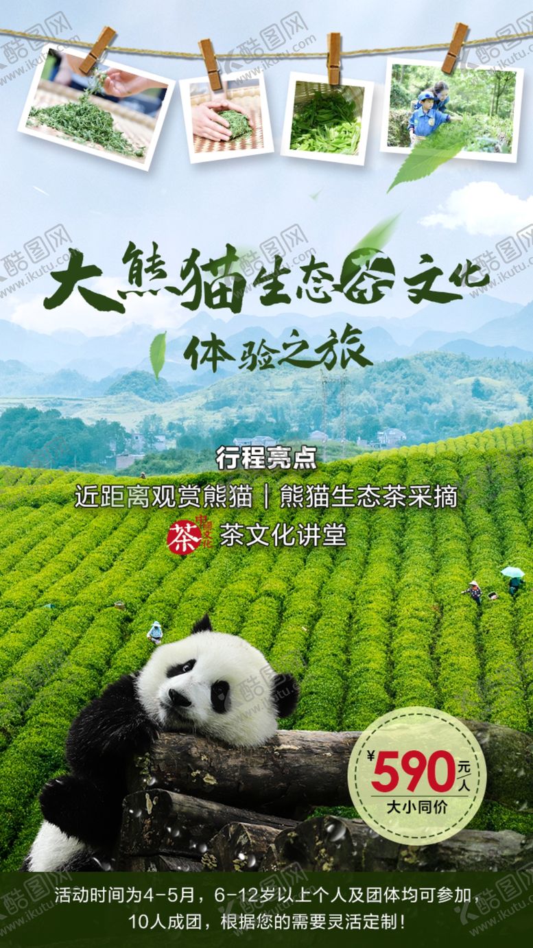 编号：50066011040903009387【酷图网】源文件下载-熊猫文化海报