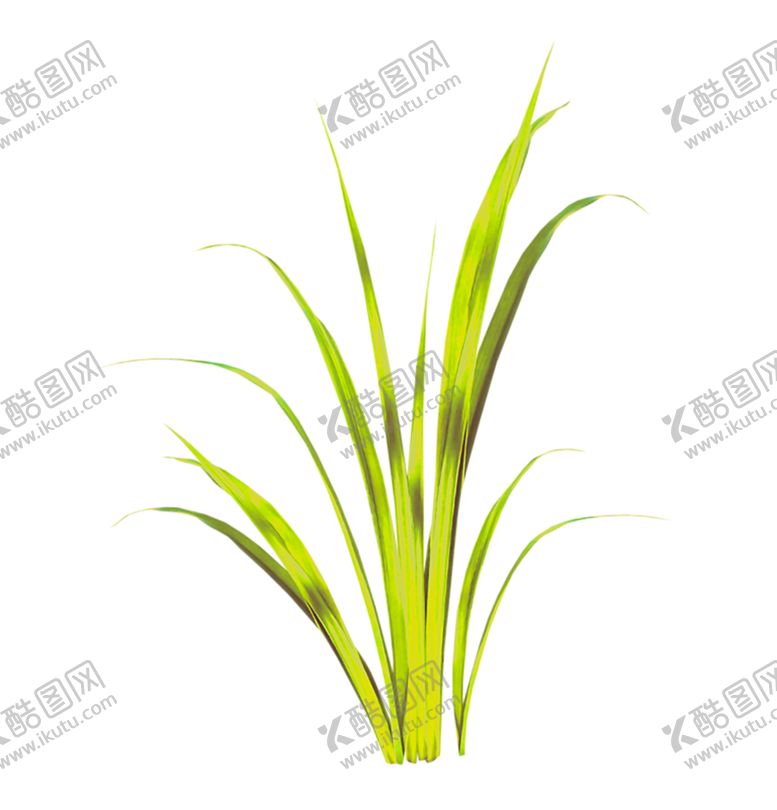 编号：53524906290648247012【酷图网】源文件下载-绿色装饰