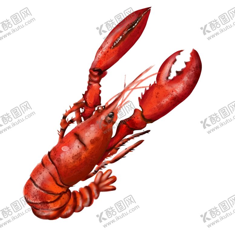 编号：97843610302039143117【酷图网】源文件下载-小龙虾
