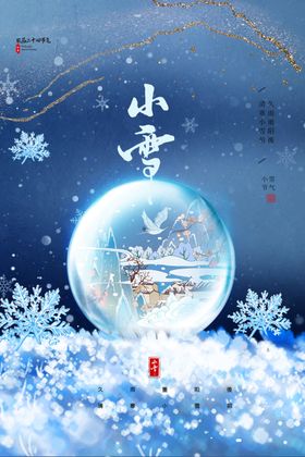 小雪海报