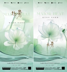 大暑荷叶小处