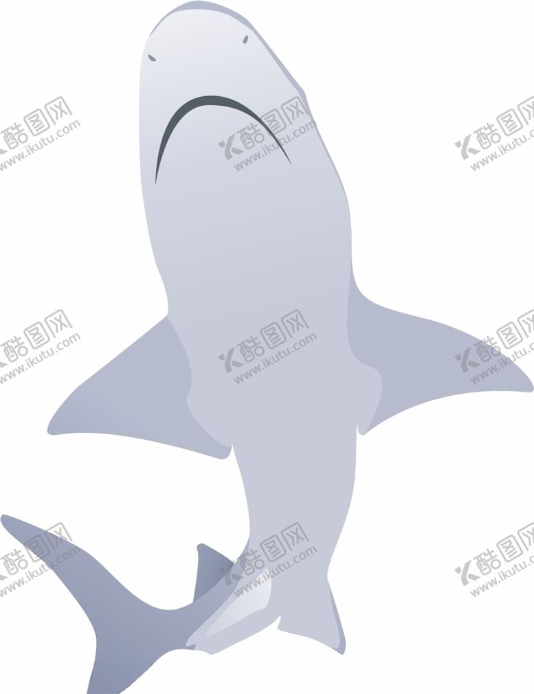 编号：97029405131146409217【酷图网】源文件下载-鲨鱼矢量