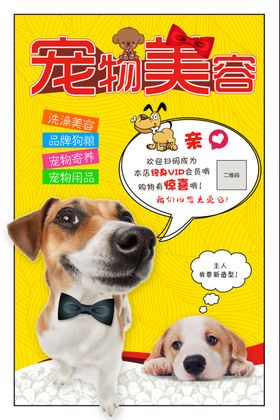 宠物美容海报