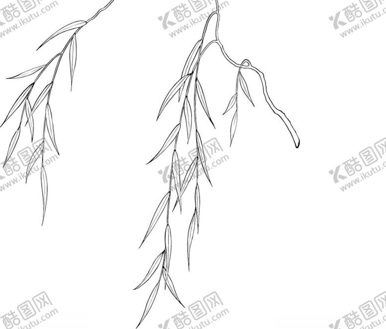 编号：63813011010947174409【酷图网】源文件下载-日本线描植物花卉矢量素材