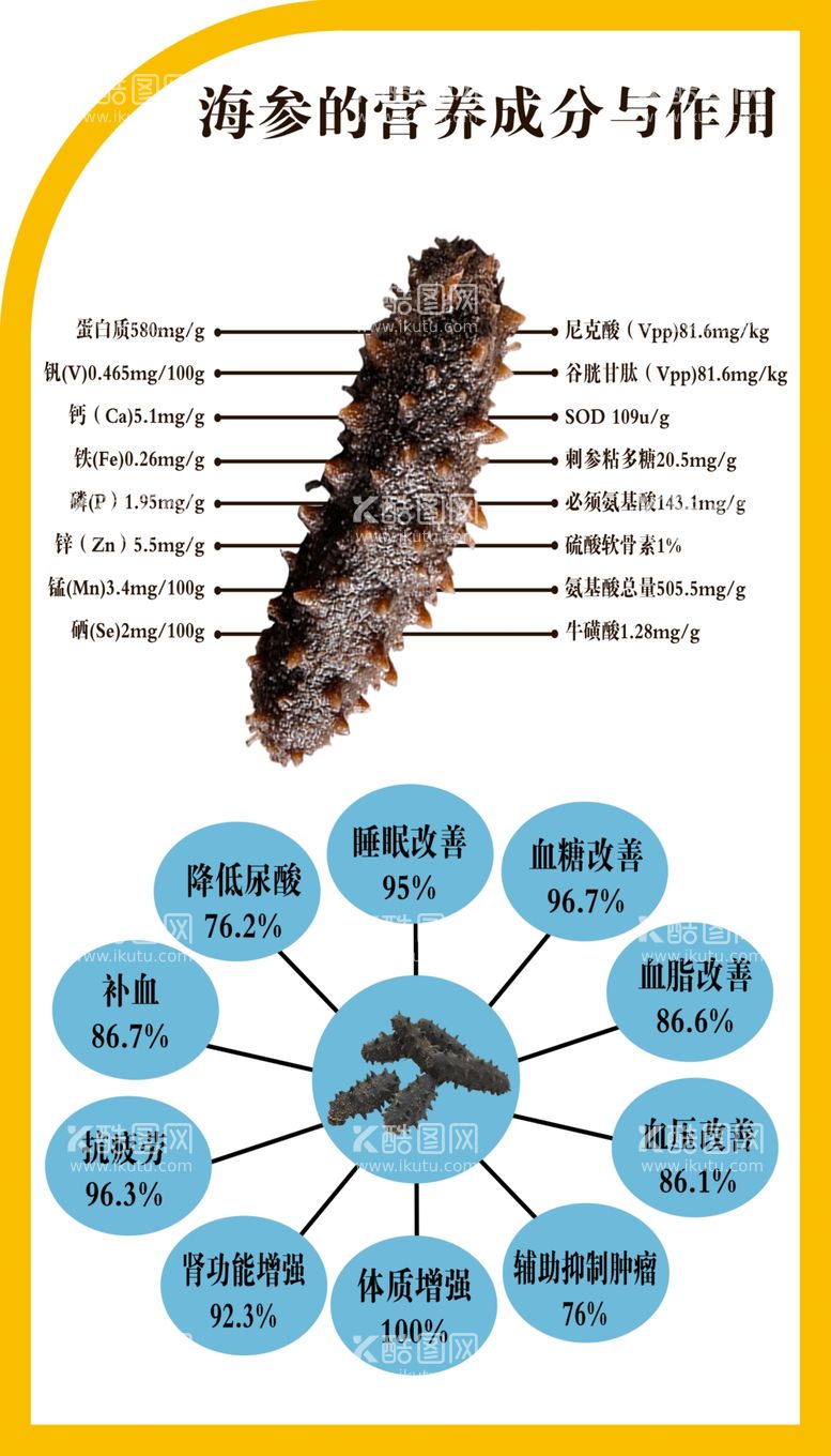 编号：85120502050436181882【酷图网】源文件下载-海参的营养成份