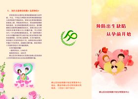 预防出生缺陷从孕前开始三折页转
