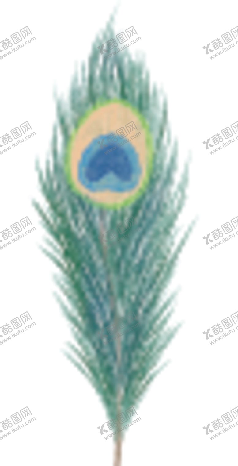 编号：25628110240332069675【酷图网】源文件下载-孔雀羽毛