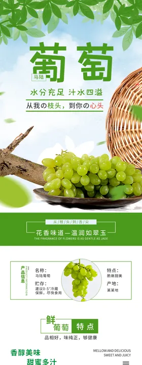 水果详情页水果海报素材水果