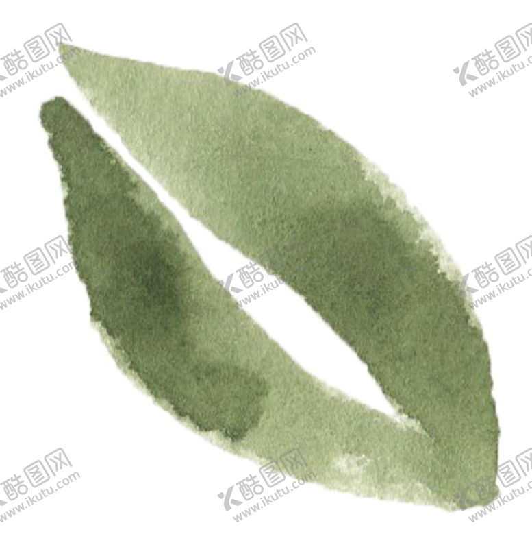 编号：95808309190511132340【酷图网】源文件下载-手绘植物花卉