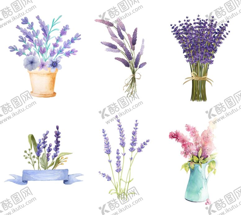 编号：19332609270013269353【酷图网】源文件下载-薰衣草