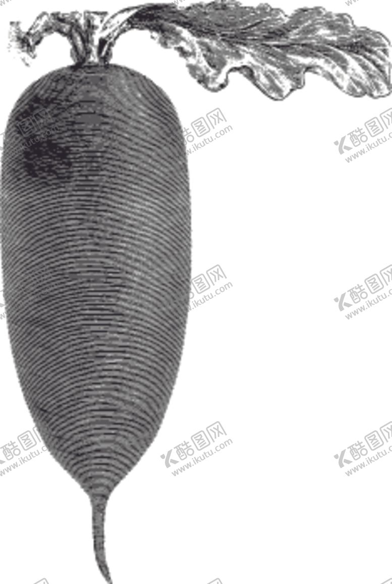 编号：95299007132108039649【酷图网】源文件下载-素描手绘蔬菜