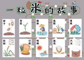 一粒米的故事